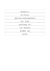 规制与约束下政策性金融风险研究