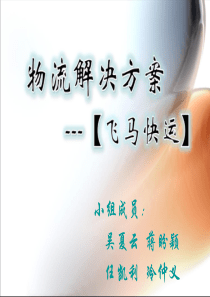 物流与供应链管理-飞马快运