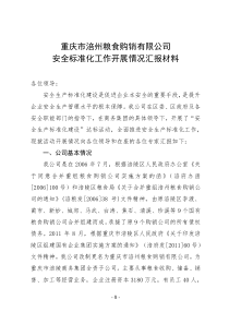 安全标准化工作开展情况汇报材料