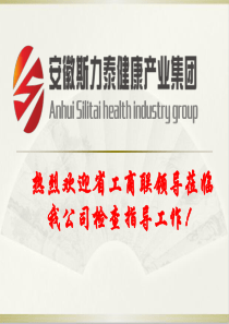 安徽(工商联)斯力泰集团介绍