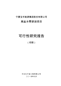 宝丰能源有限公司--高盐水零排放项目可研
