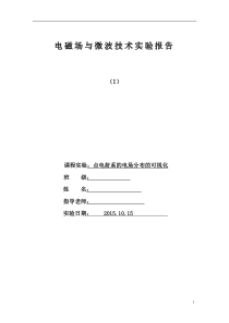 实验1(静电磁场)点电荷的可视化处理
