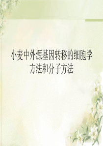 外源基因转移的细胞学方法和分子方法wdwhwn