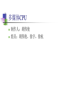 多媒体CPU.