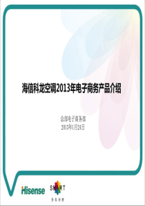 13年空调电子商务部新品介绍