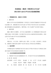 大井水灾应急救援预案