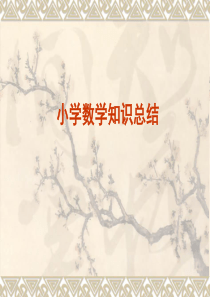 小学数学知识总结