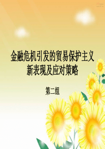 金融危机引发的贸易保护主义新表现及应对策略
