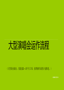大型演唱会运作流程.