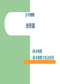 金融学专业公司理财8(投资指标及运用)