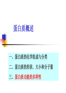 大学生物化学之蛋白质.