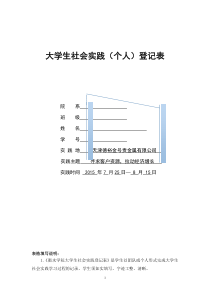 大学生社会实践(个人)登记表