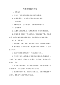 大麦种植技术方案