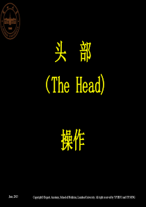 头部实验操作