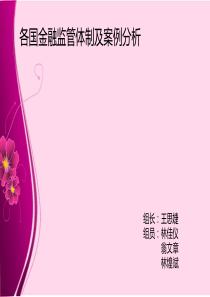 金融监理2