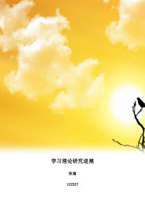 学习理论研究进展