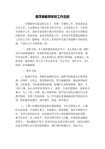 数学新教师年终工作总结