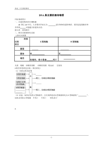 学案高三生物一轮复习DNA是主要的遗传物质(人教版必修二)