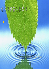 地沟油制备生物柴油.