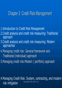 金融风险Chapter 3  Credit Risk Management(PPT 85)