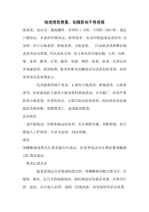 地老虎危害重,加强防治不容忽视