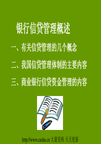 银行信贷管理概述(ppt 343页)