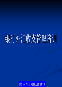 银行外汇收支管理培训(pdf65)(1)