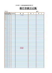银行存款及现金日记账模板