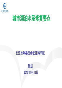 城市湖泊水系修改要点.