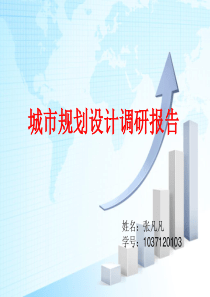 城市规划设计调研报告.