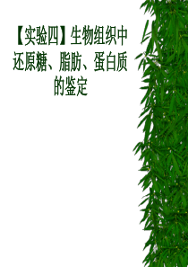 实验四还原糖蛋白质脂肪的鉴定