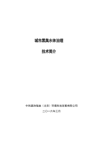 城市黑臭水体治理技术