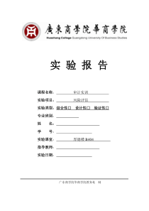 审计实训报告---风险评估