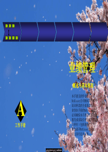 22mt电子商务中的财务与会计(11)