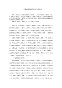 城镇化文献综述