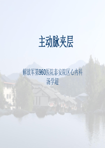 主动脉夹层诊断和治疗指南