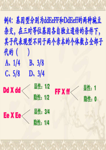 基因突变与基因重组(备课组一起完成的).