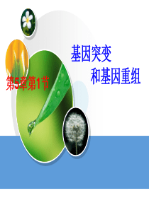 基因突变和基因重组(公开课).
