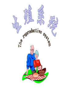 基础医学概论生殖