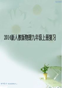 2014新人教版物理九年级上册复习课件