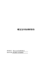 暖宝宝市场调研报告