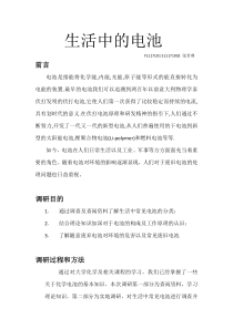 大学化学调研报告生活中的电池