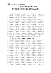 大学国际教育学院党支部关于帮助青年教职工成长发展的总结报告