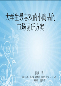 大学生最喜欢的小商品的市场调研方案新的5