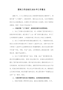 团的工作总结