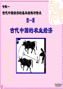 11《古代中国的农业经济》(2)