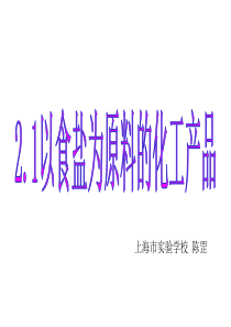 21以食盐为原料的化工产品2