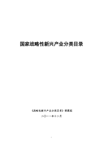国家战略性新兴产业分类目录