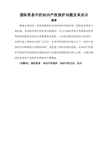 国际贸易中的知识产权保护问题及其启示