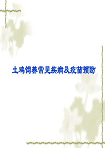 土鸡饲养常见疾病及疫苗预防.